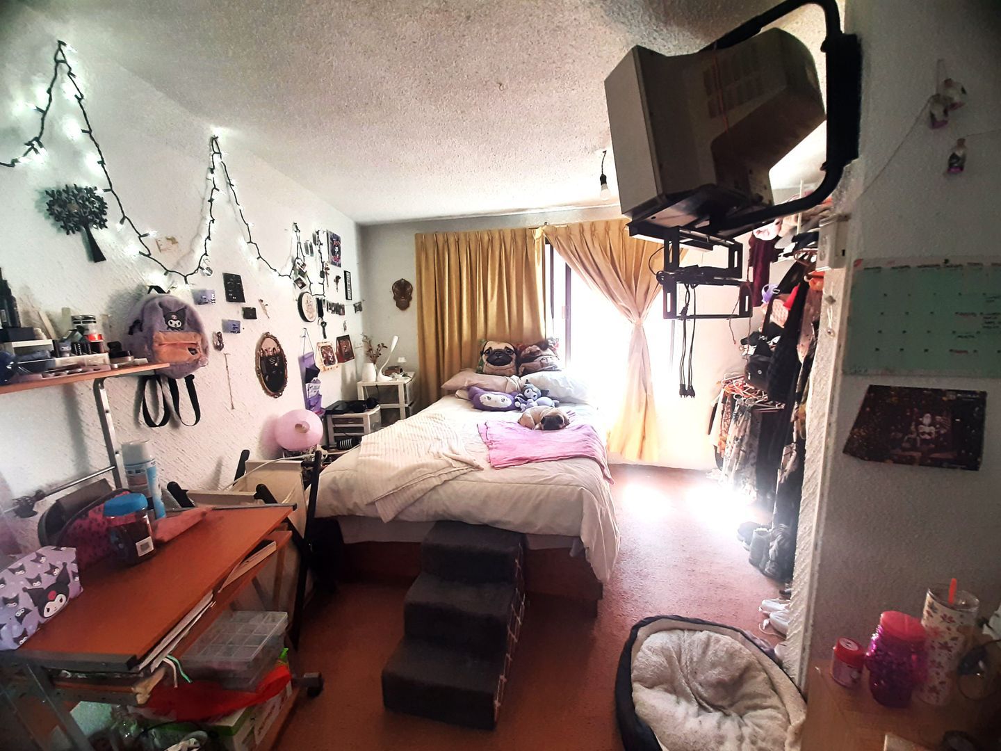 20260208_122643.jpg