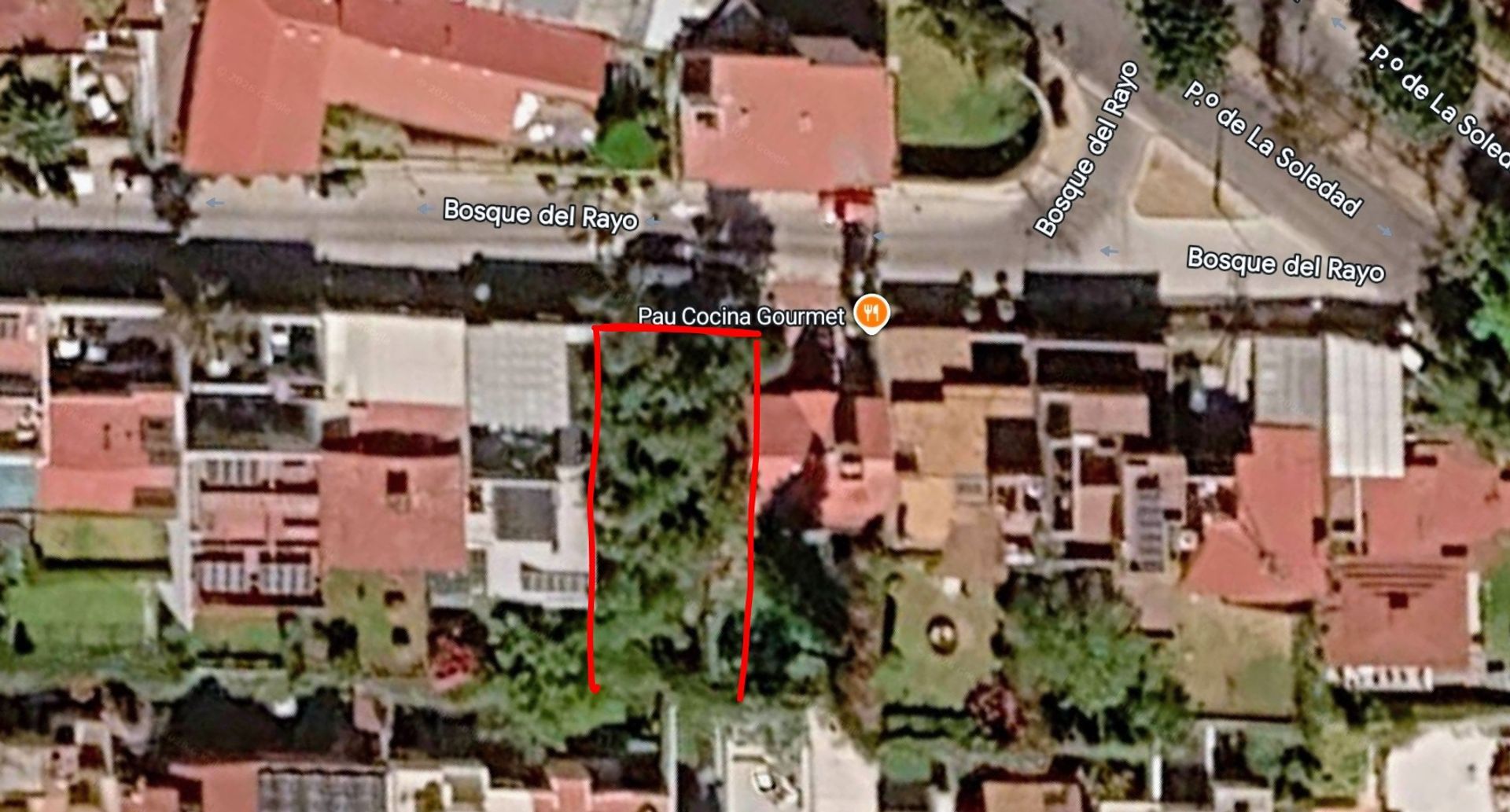 1000314271.jpg