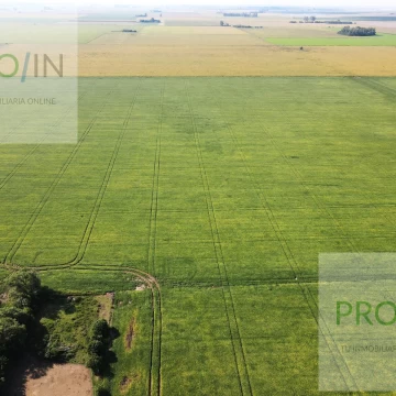 Campo en  zona rural de Cavanagh