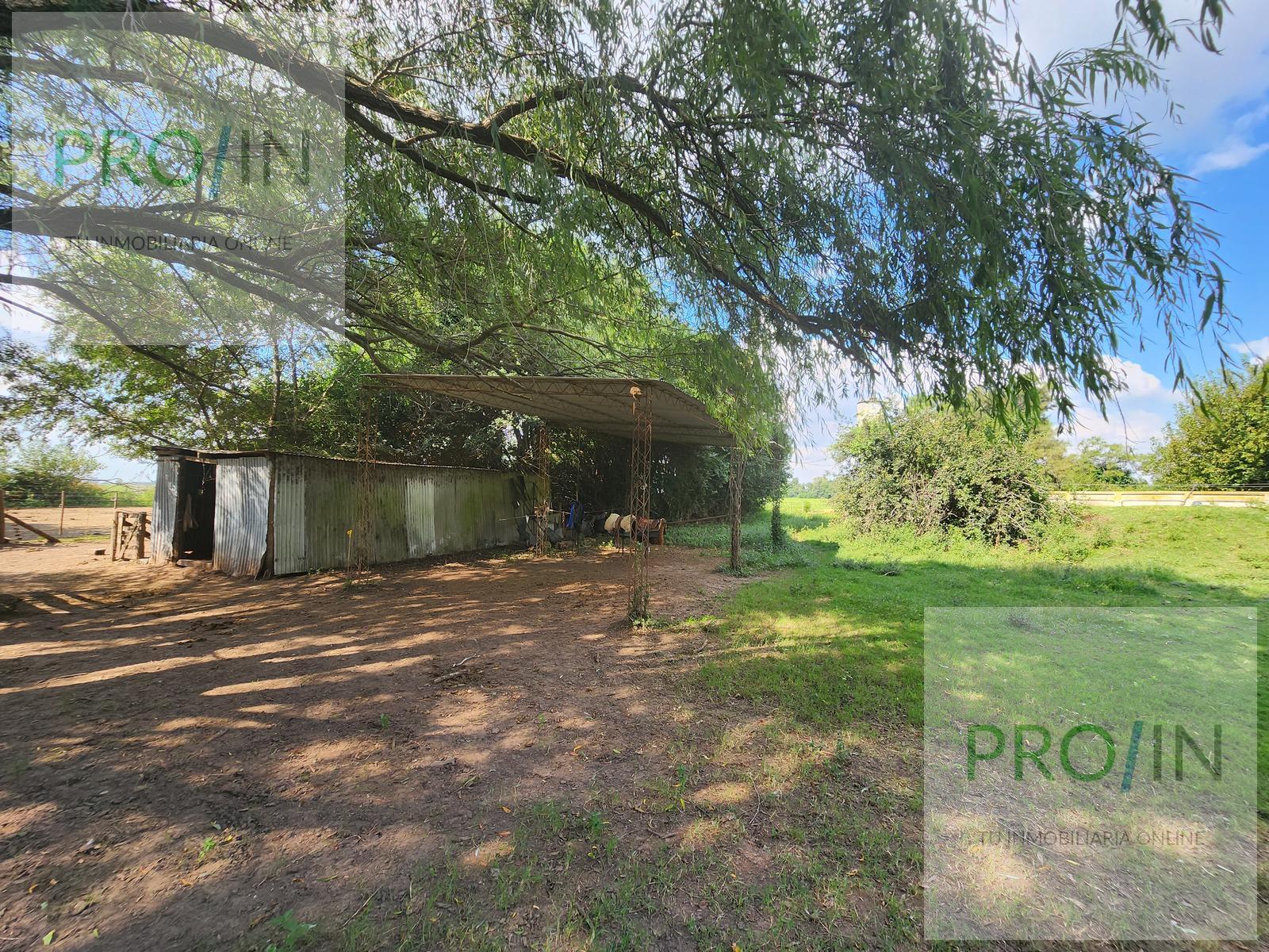 image 23