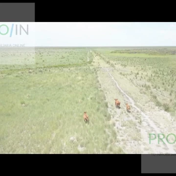 Campo en Quebrachos