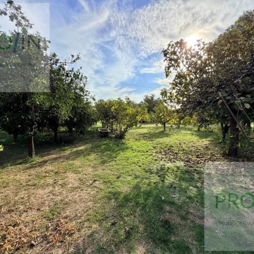 Quinta de gran superficie en venta cercana al polo 