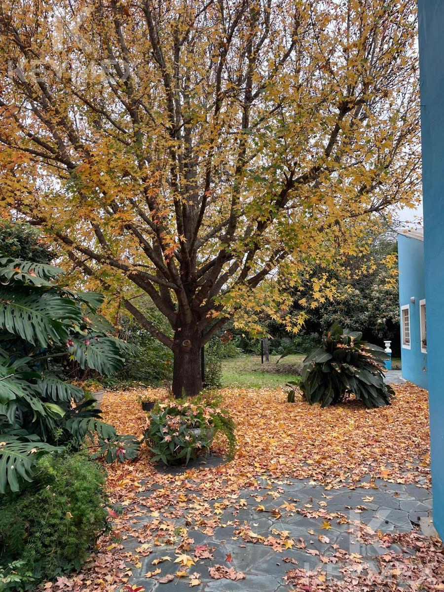 Jardín delantero — árbol en otoño y banco de descanso