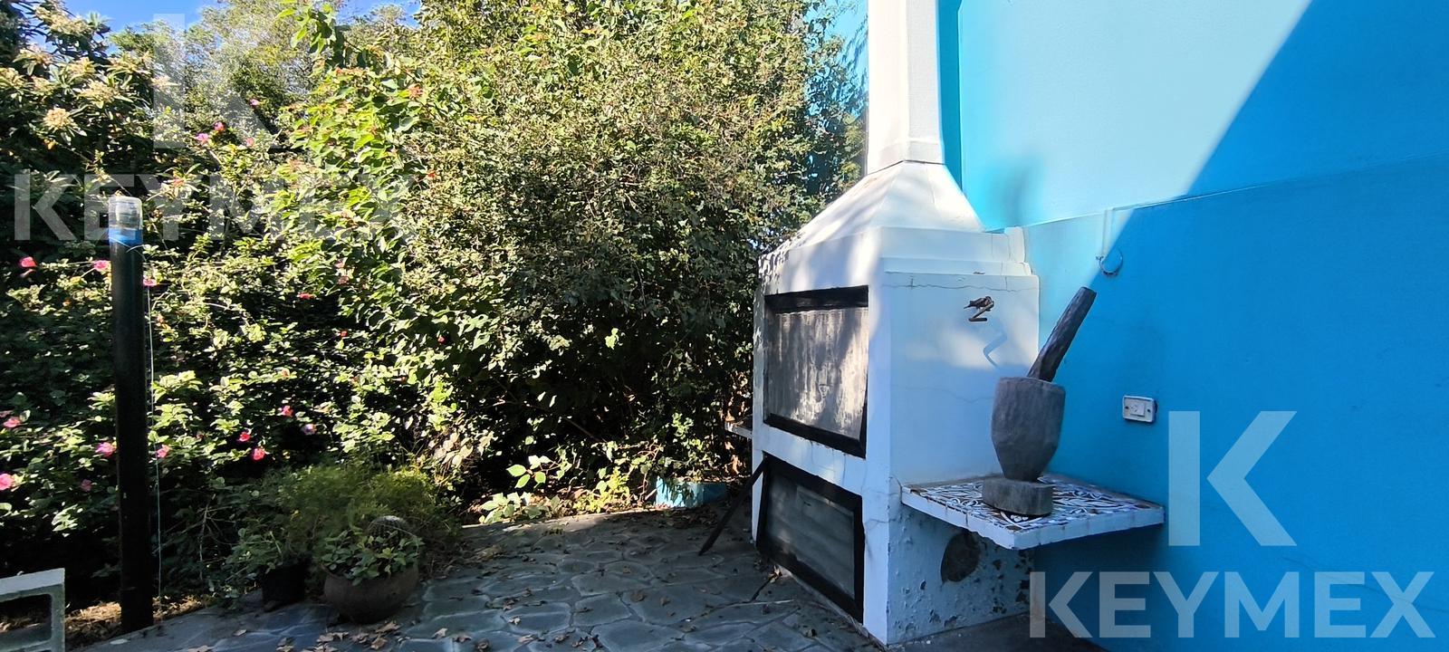 Jardín trasero — parque amplio con vegetación y árboles maduros