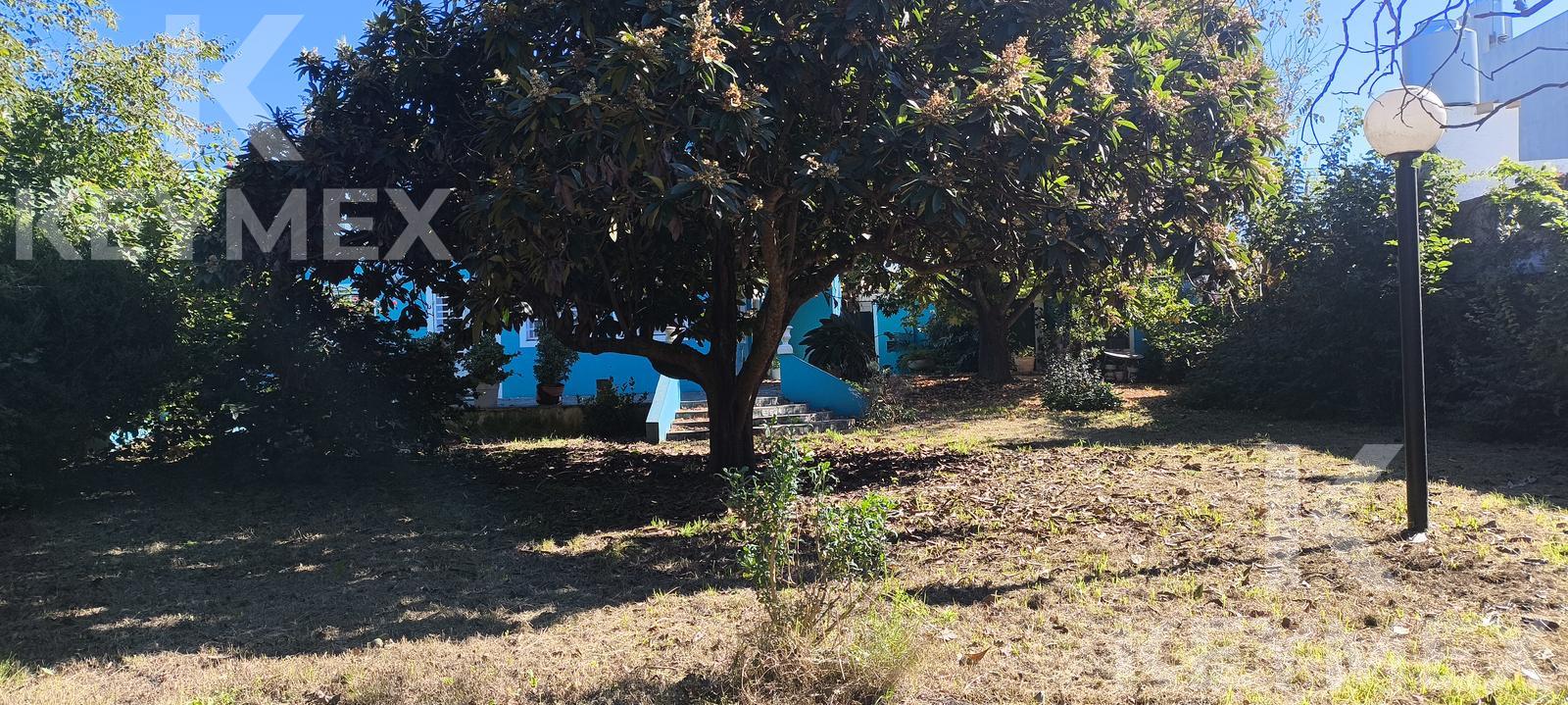 Parque con árboles — espacio natural y privado al fondo del lote