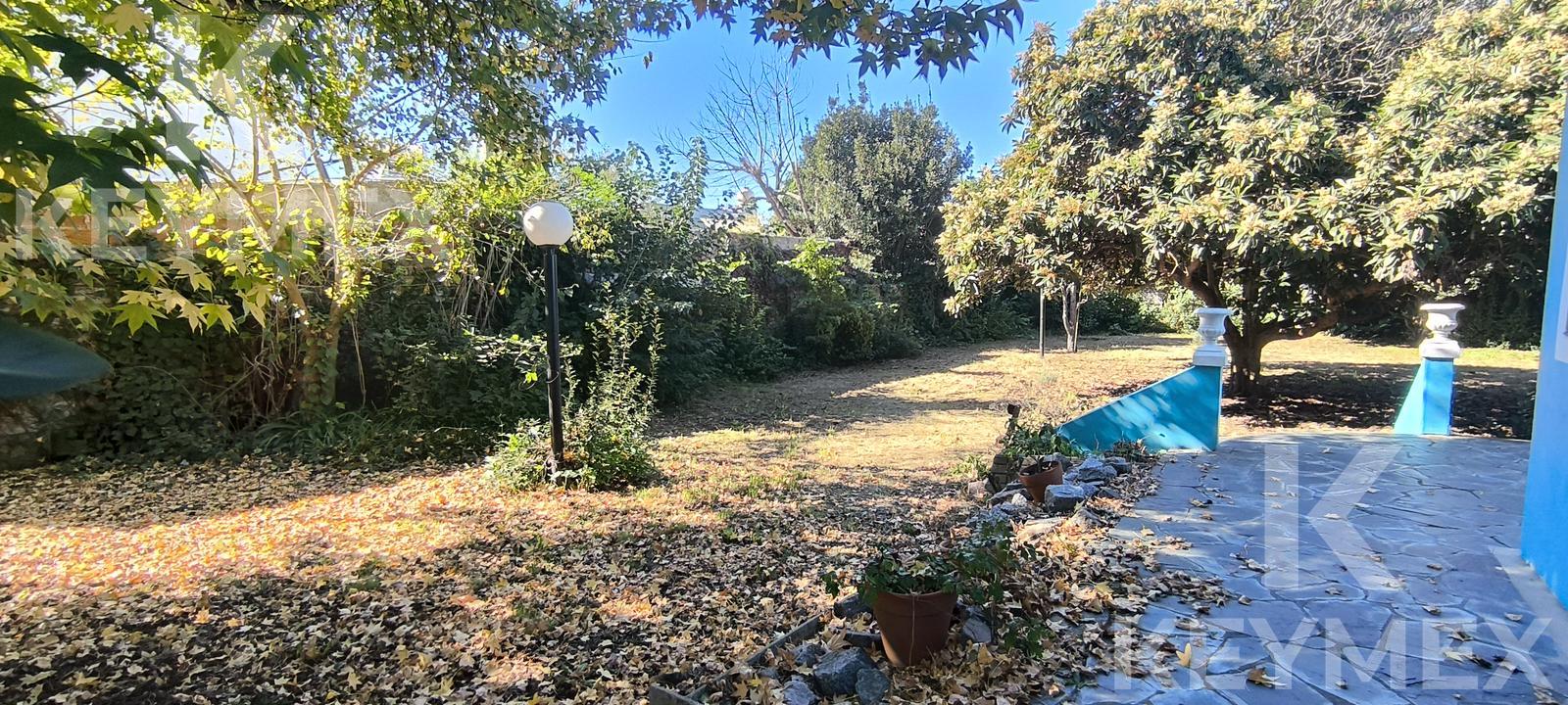 Jardín trasero — vista desde el fondo del terreno hacia la casa