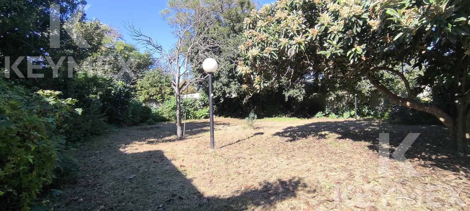 Camino peatonal en el jardín — sendero pavimentado entre árboles