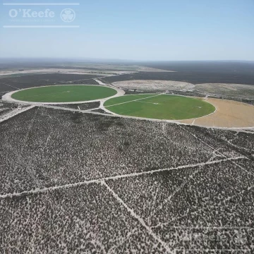 Campo en venta 137 has en Zapata