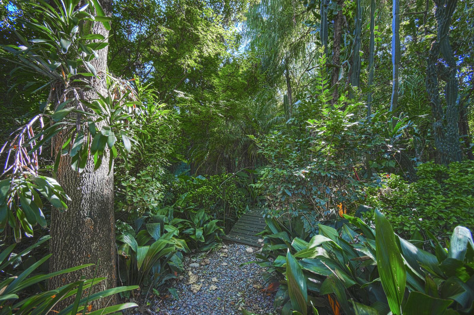 image 61