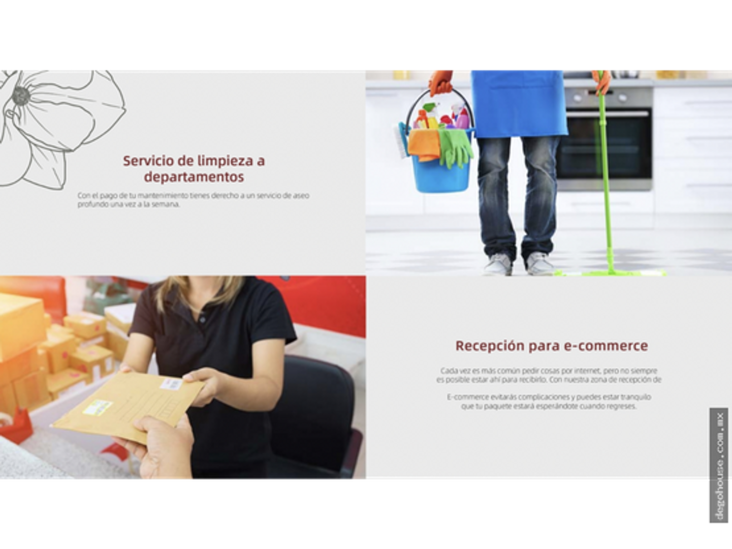 Imagen 0