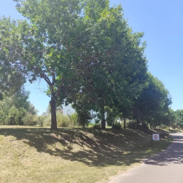 Lote de Terreno de 1200 m2 en Venta en el Club de Campo Los Palenques en Manzanares.