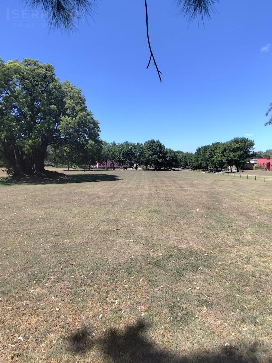 image 37