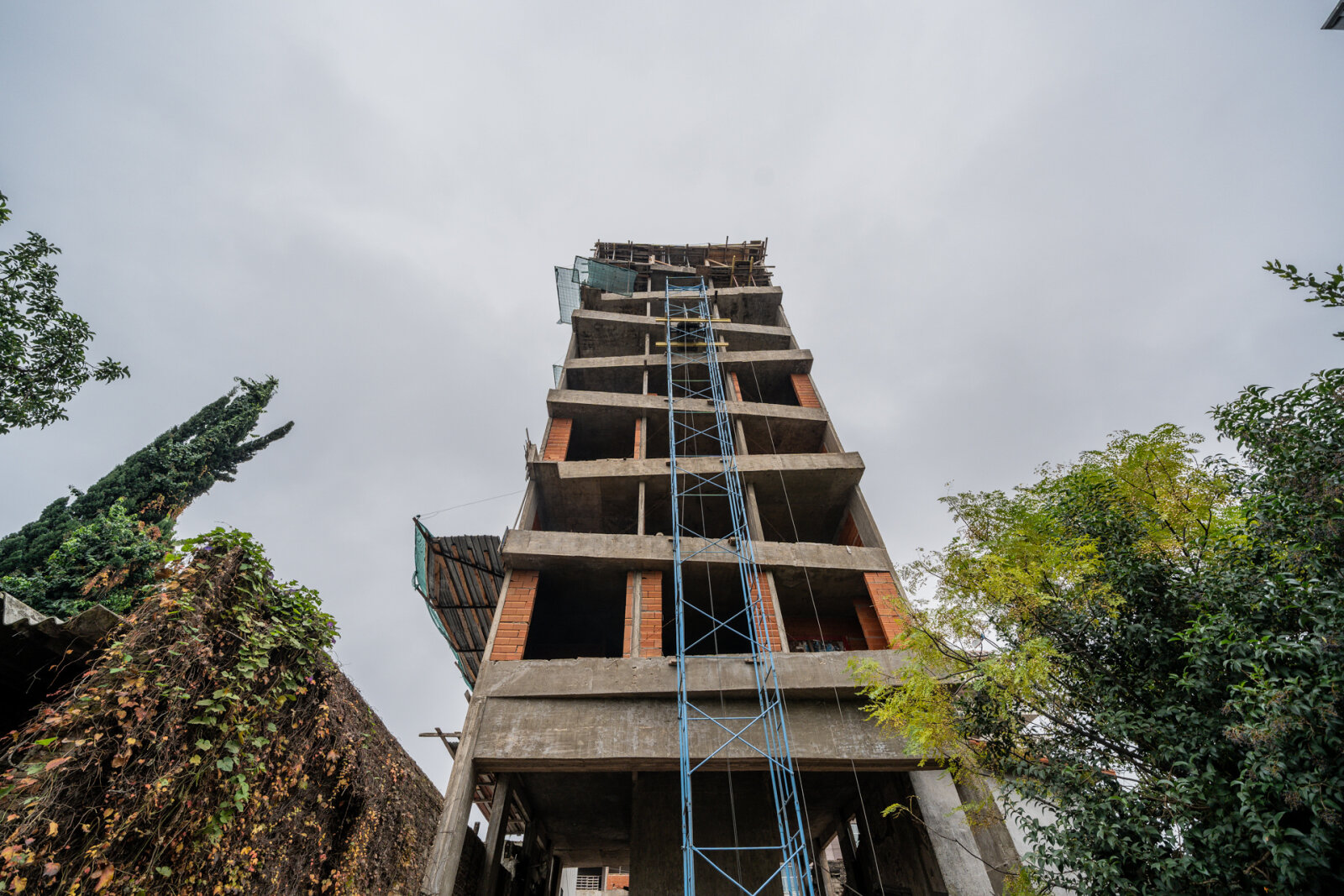 image 49