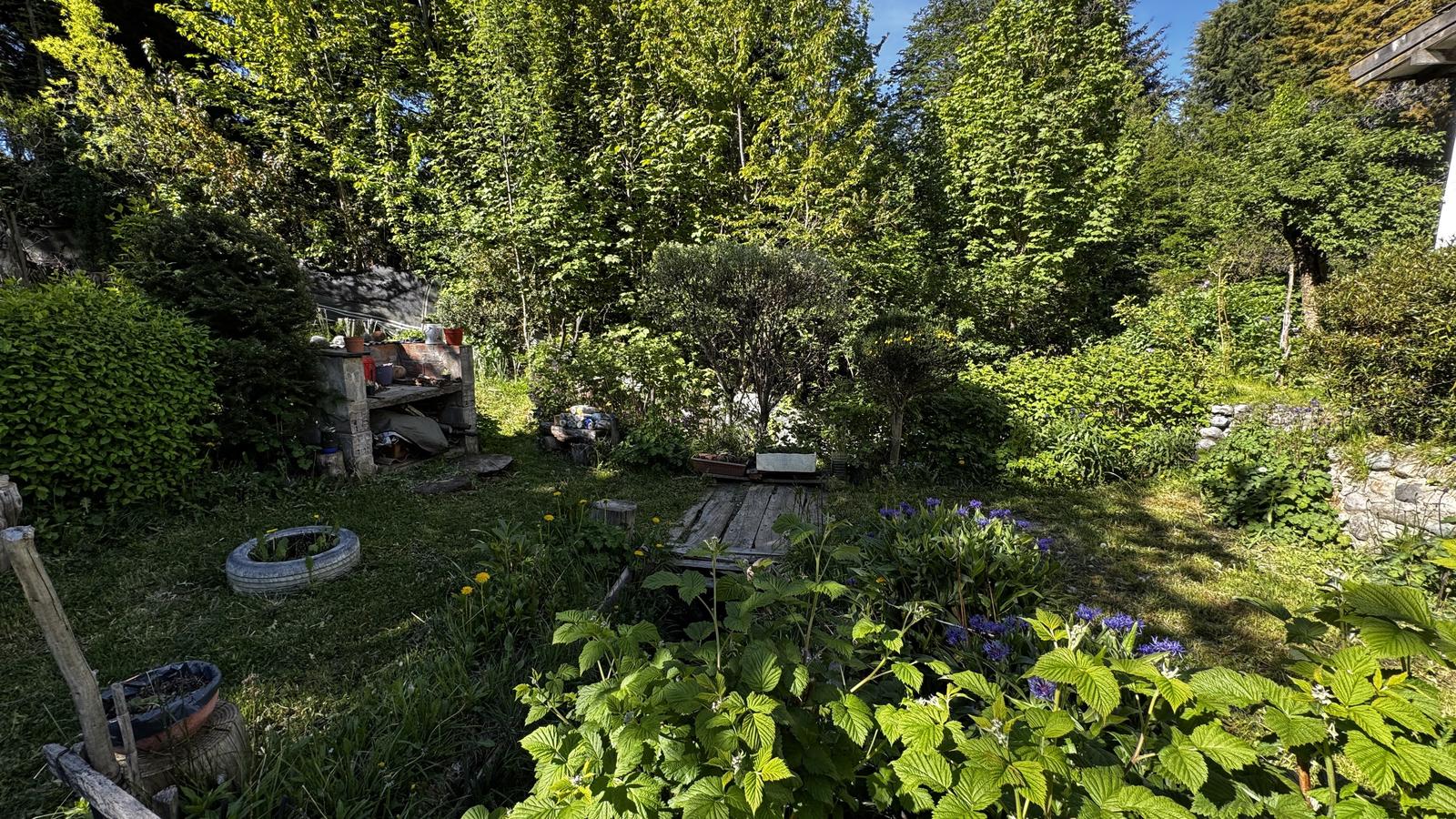 image 54