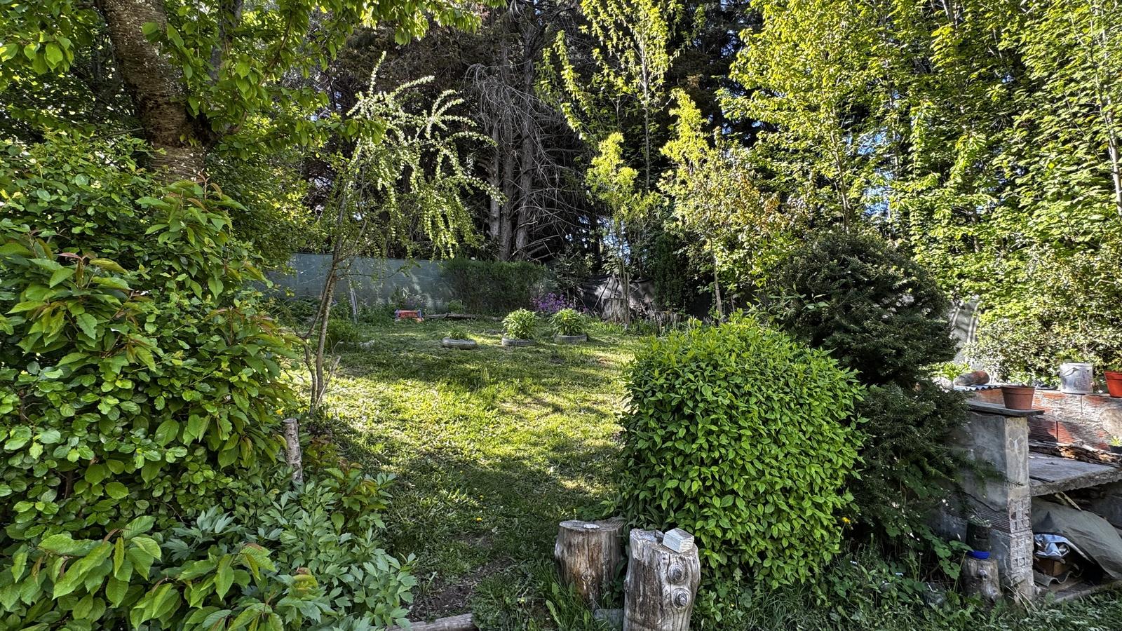 image 56