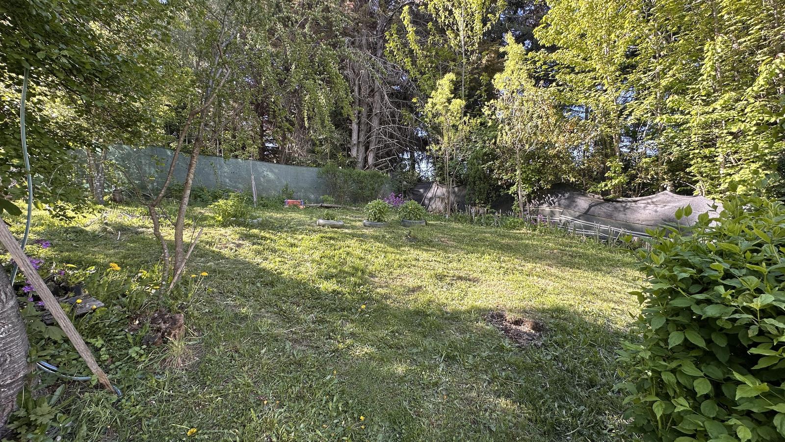 image 59
