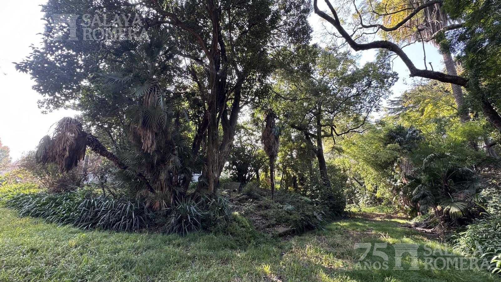 image 14