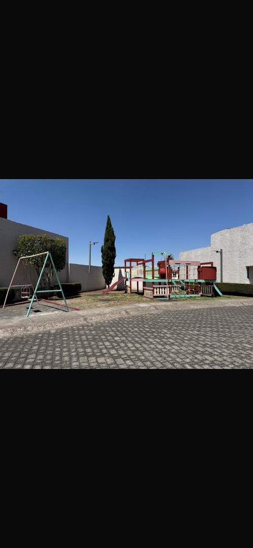 IMG_9955.png