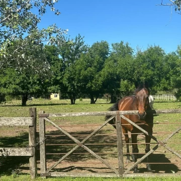 Venta Lote central y arbolado en Haras el Malacate Exaltación de la Cruz