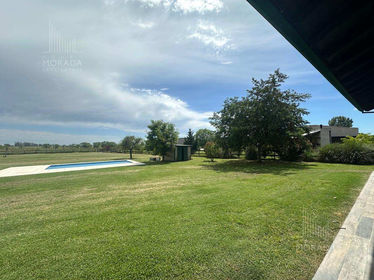 image 36