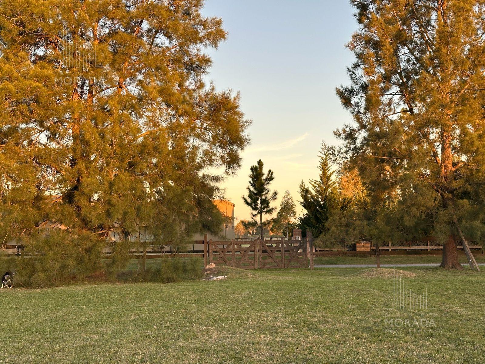 image 14