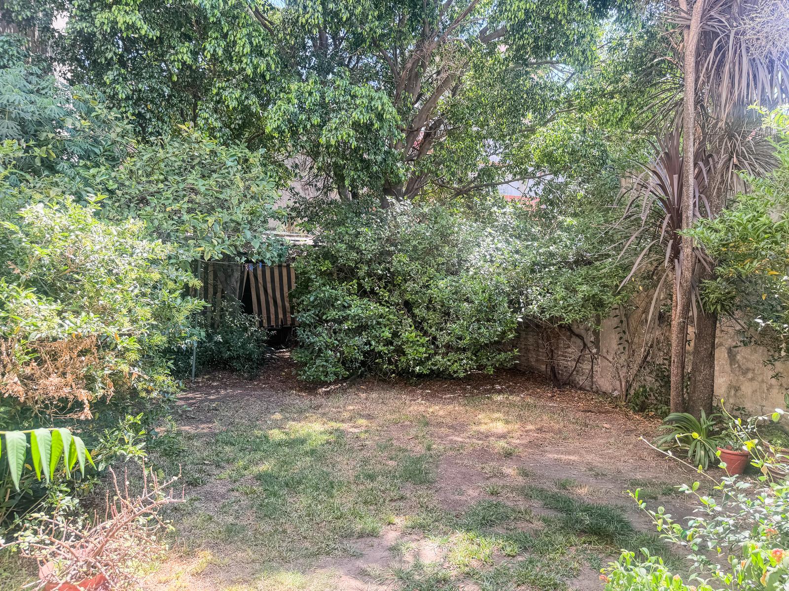image 32