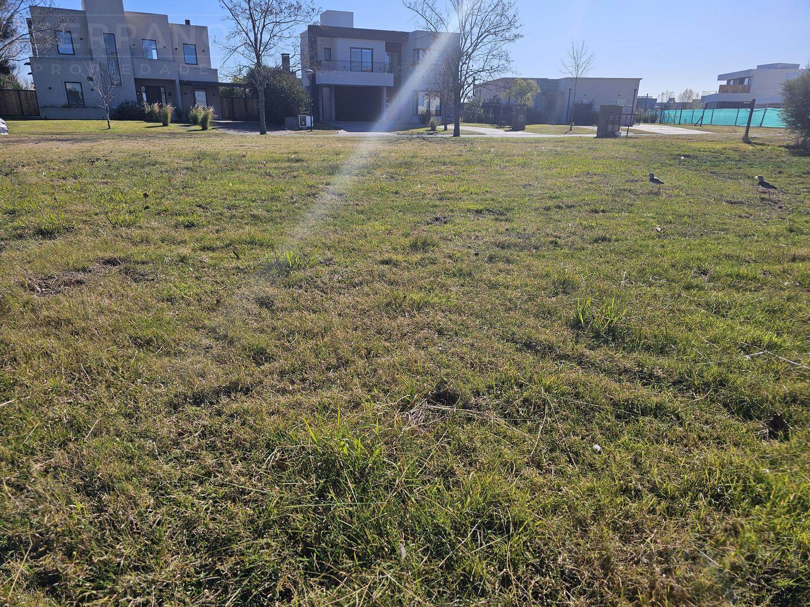 image 14