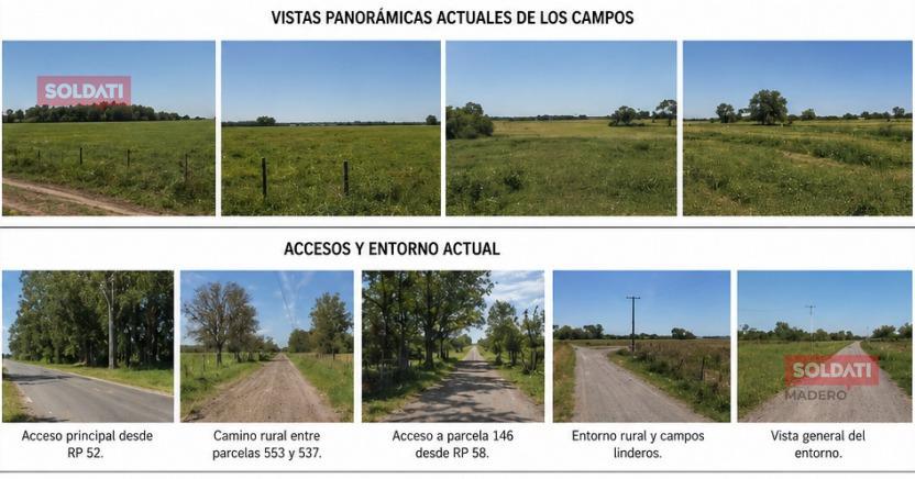 FOTOS PARCELAS