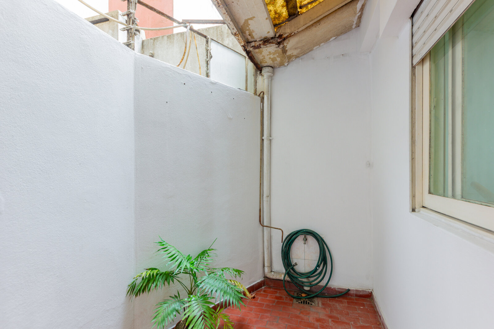 image 29