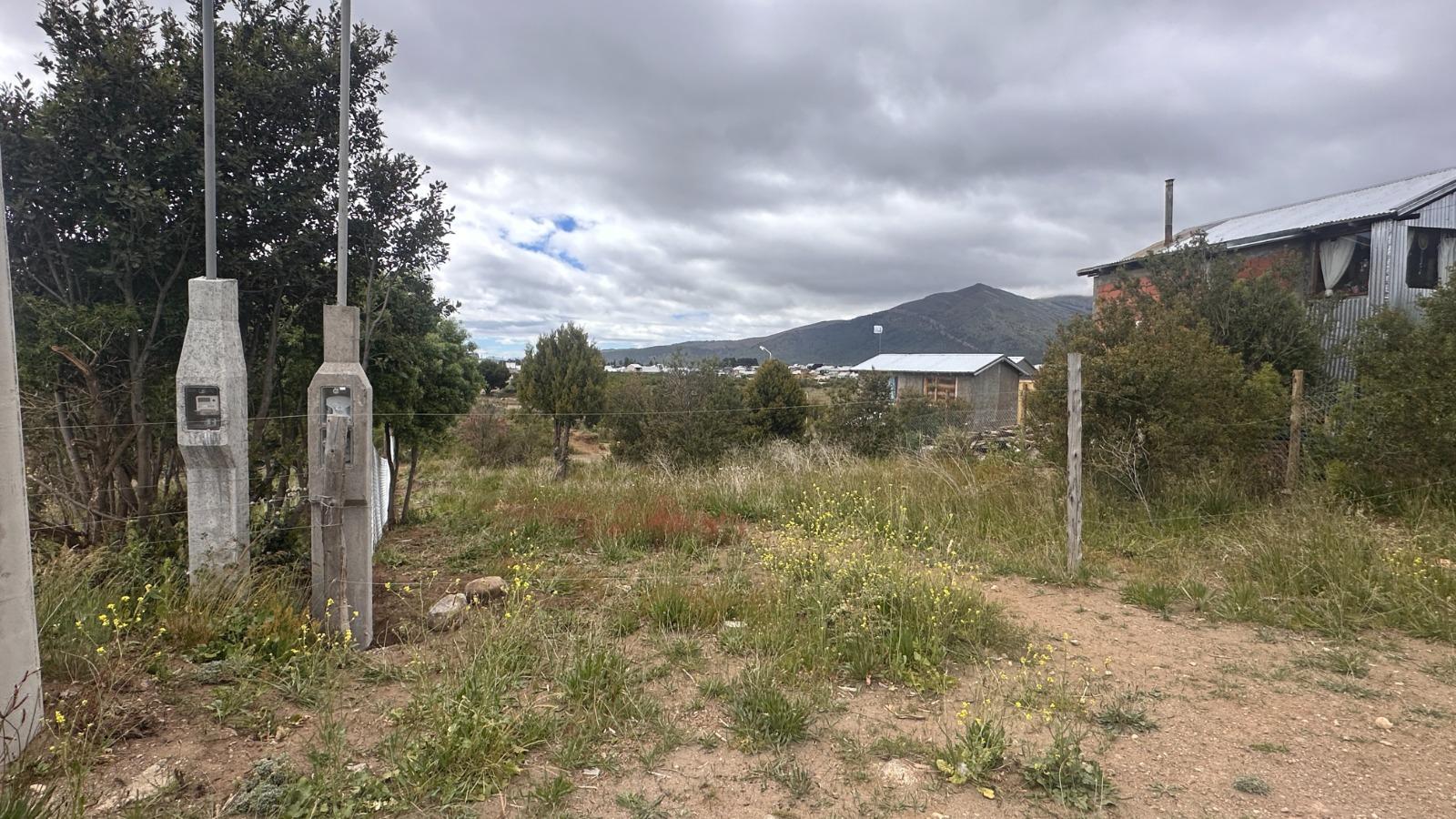 image 14
