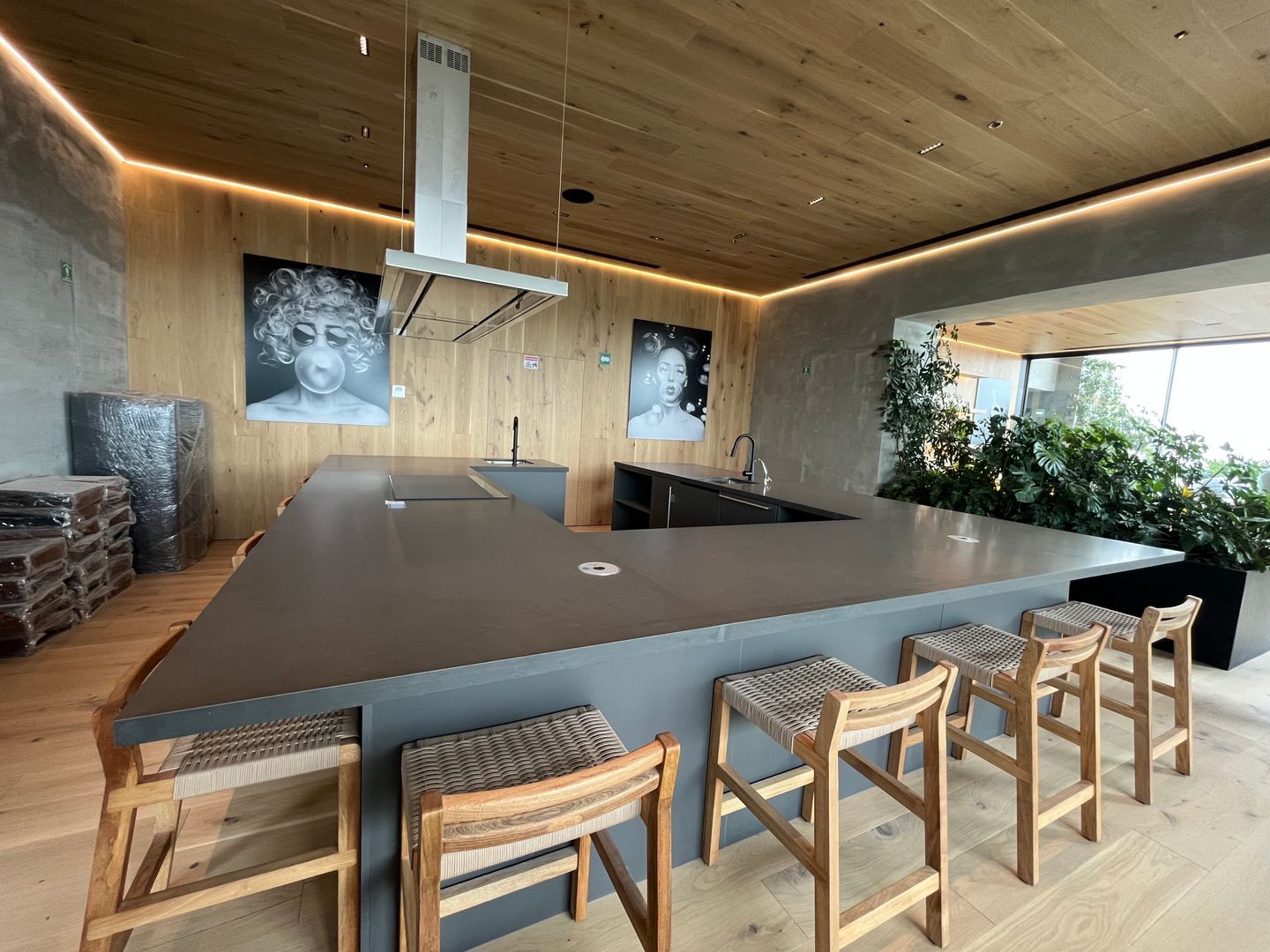 IMG_0218.jpeg