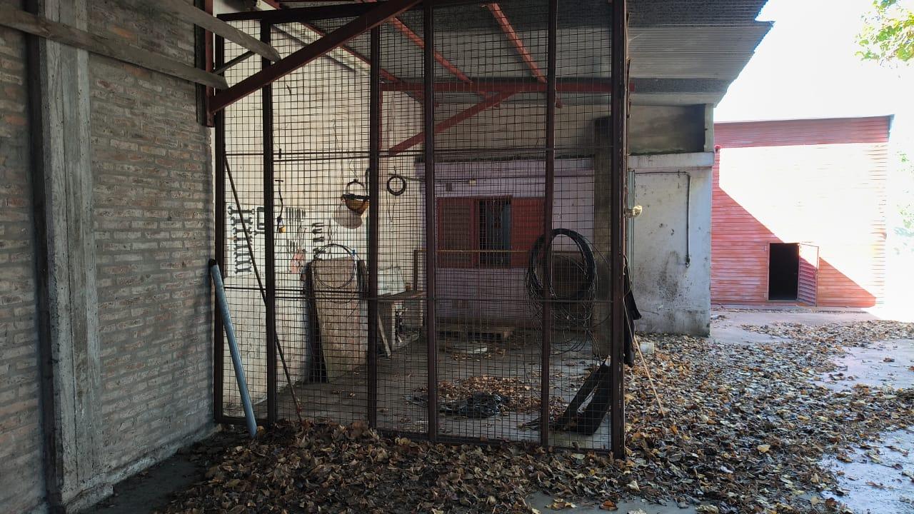 image 7