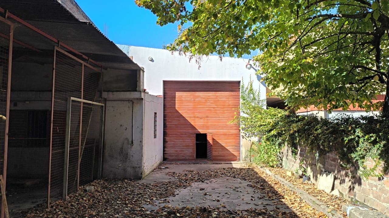 image 15
