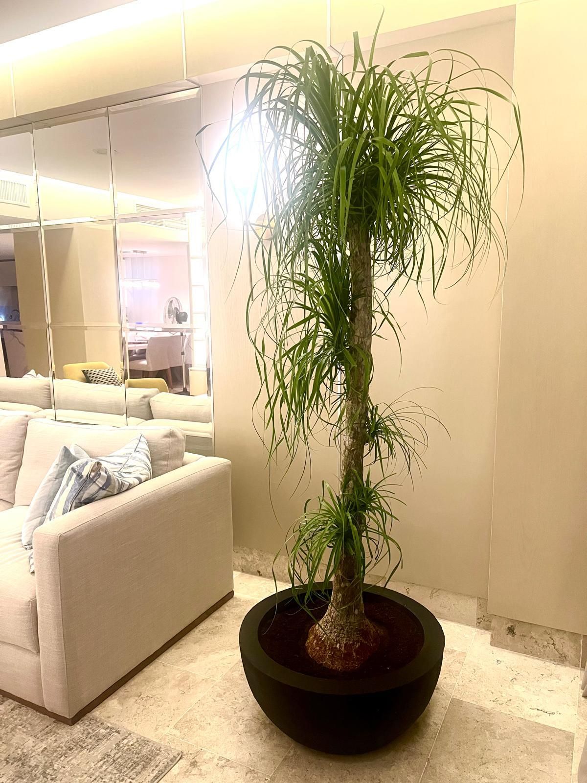 Departamento en venta amueblado y equipado