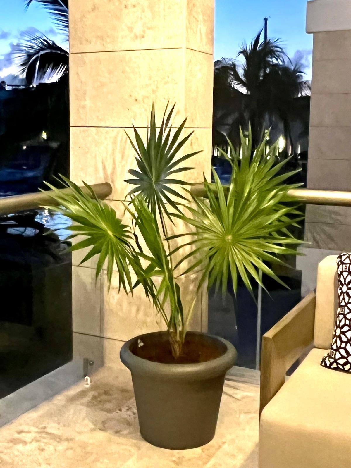 Departamento venta La Amada Residence oportunidad