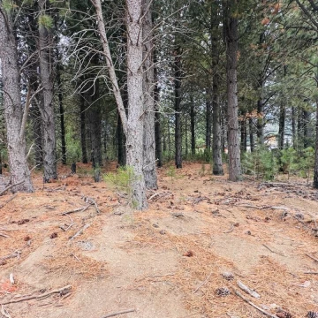 Lote 1000m2 Dos Valles L36