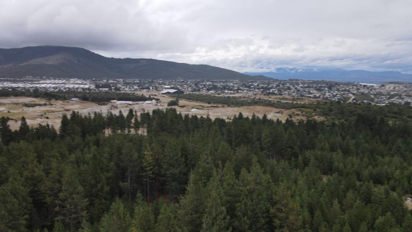image 14