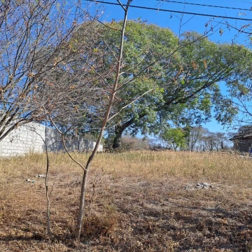 Venta Terreno en Bosque del Ceibal 1