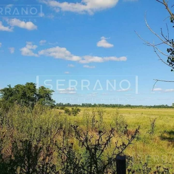 Importante Campo en Venta  146ha  junto a Colonia de Chacra
