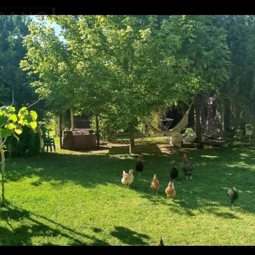 venta Casa en Monte Hoffmann