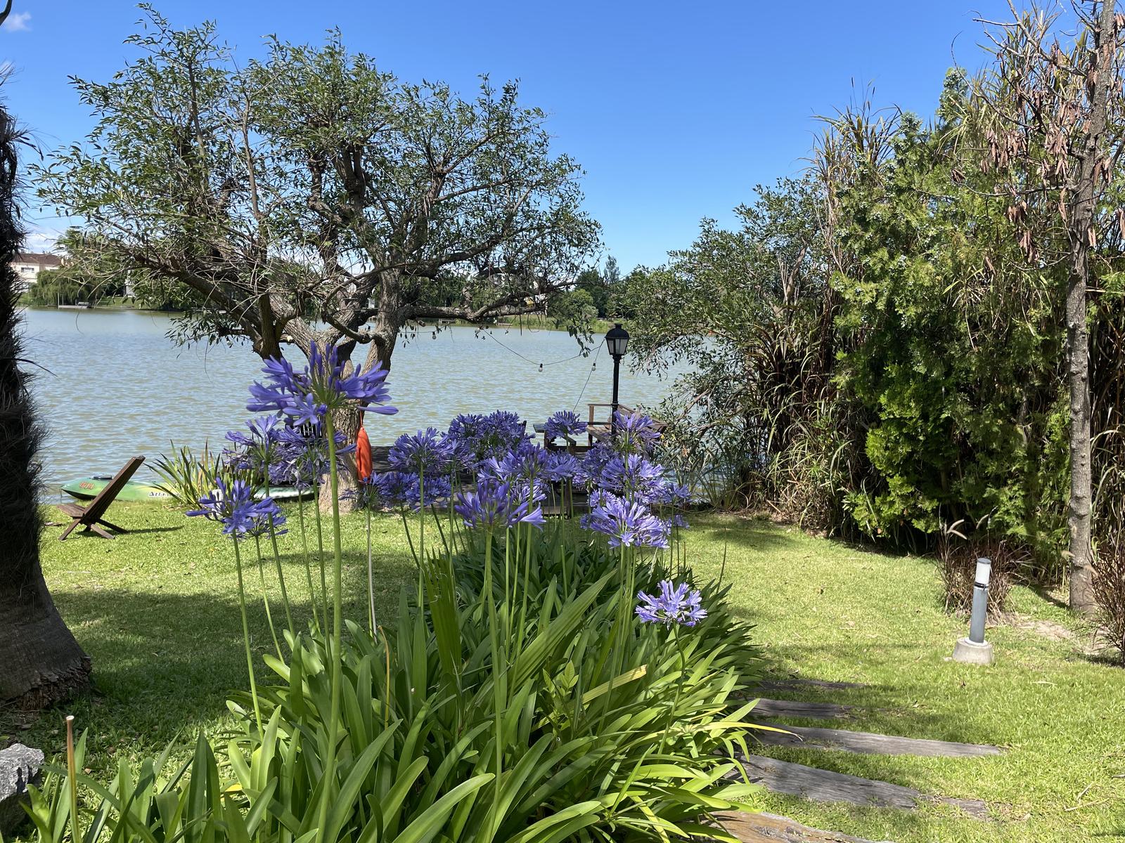 image 23