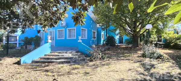 1781118673.jpg