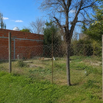 1781119447.jpg