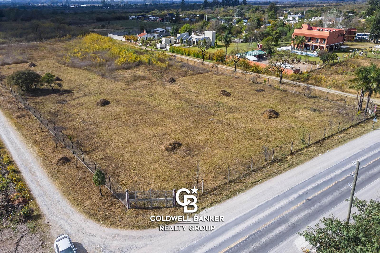 image 28