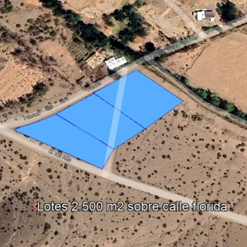 Terreno 7.500 m2 Calle Florida s/n  Barreal. San Juán 