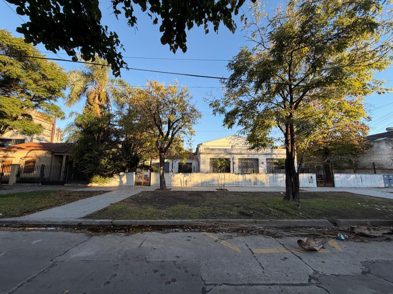 image 15