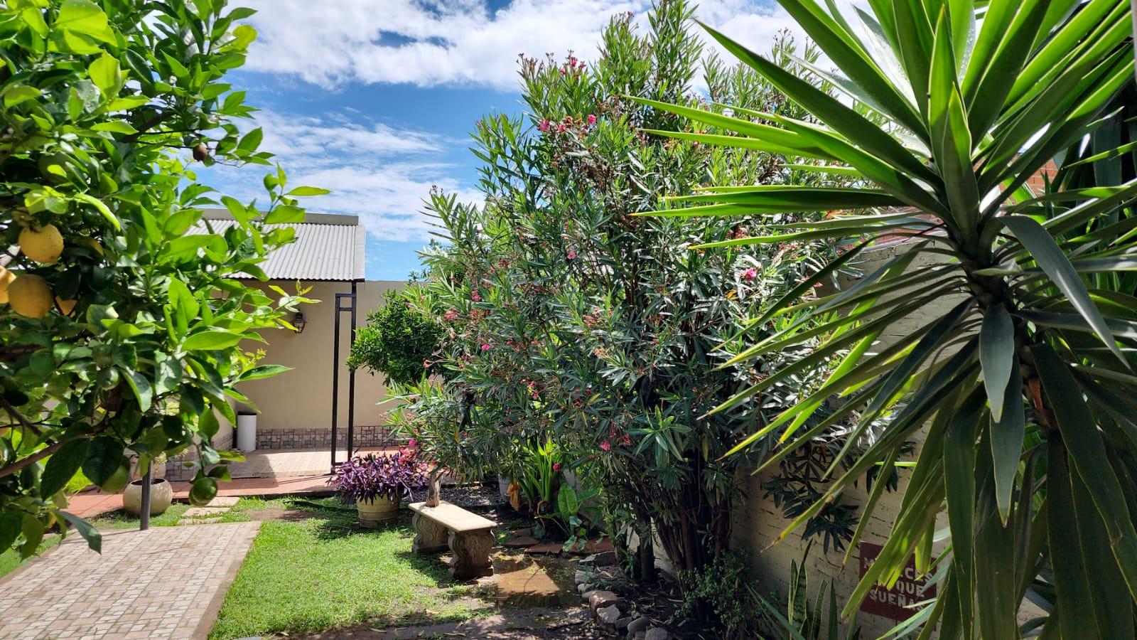 Jardin