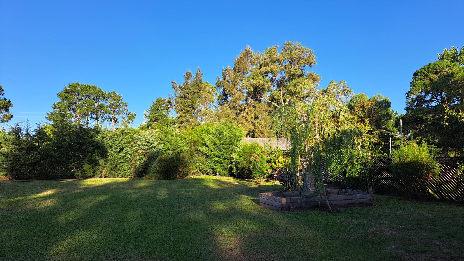 image 37