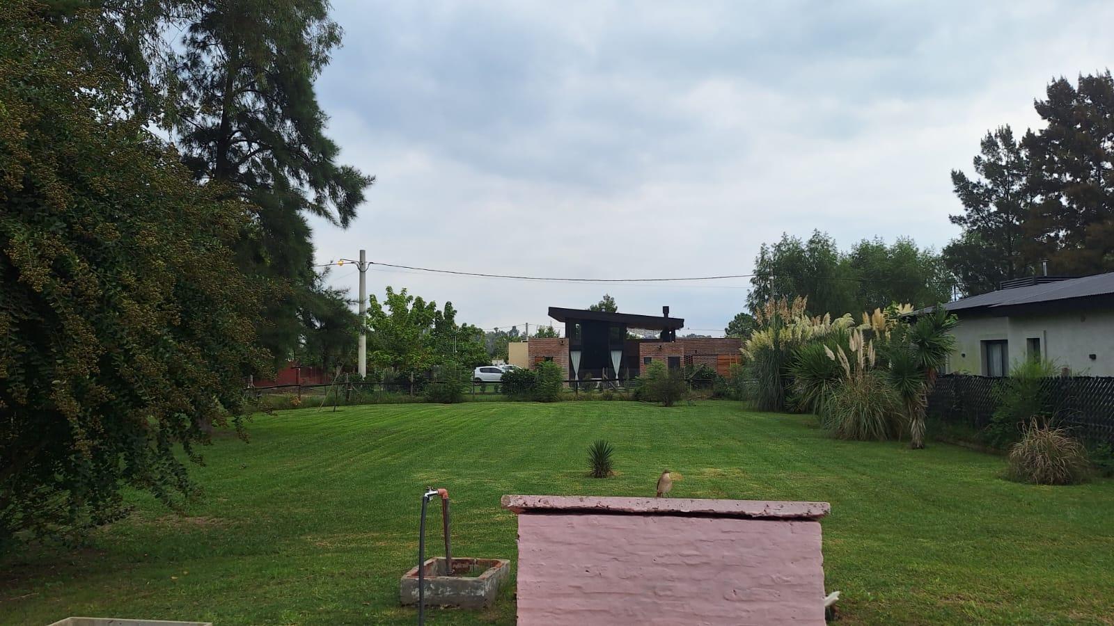 image 47