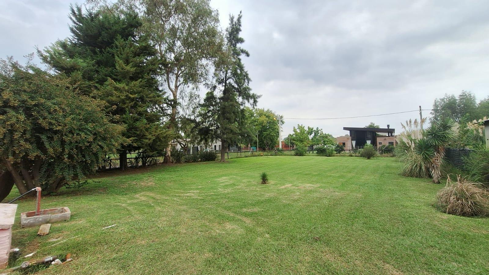 image 48